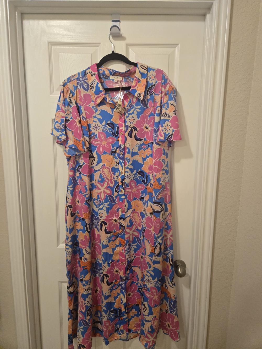 easel Floral Button-Front Maxi Dress in Blue, Pink & Peach